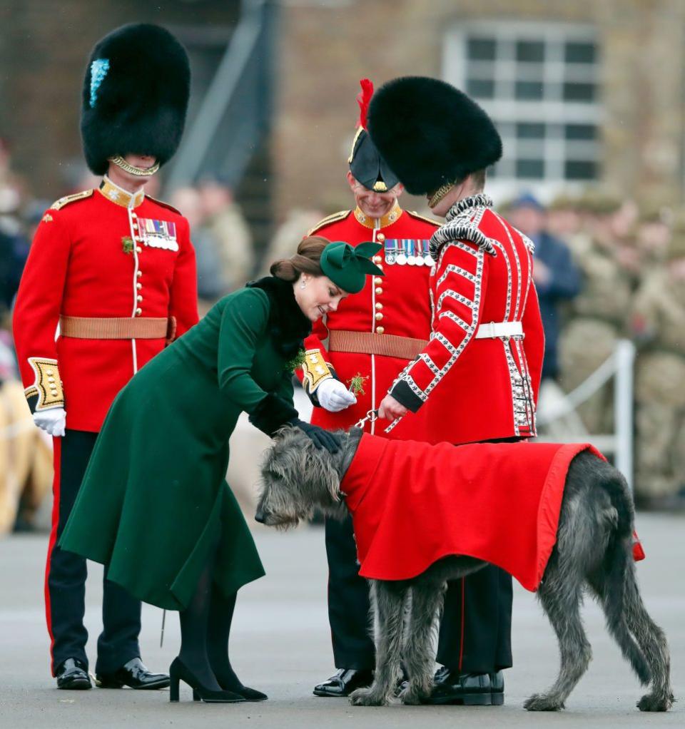 <p>The Duchess of Cambridge presents a sprig of shamrock to an Irish Wolfhound named Domhnall, the mascot of the Irish Guards, during the annual Irish Guards St. Patrick's Day Parade in Hounslow, England. Kate wore a festive green coat by Catherine Walker for the occasion. </p>