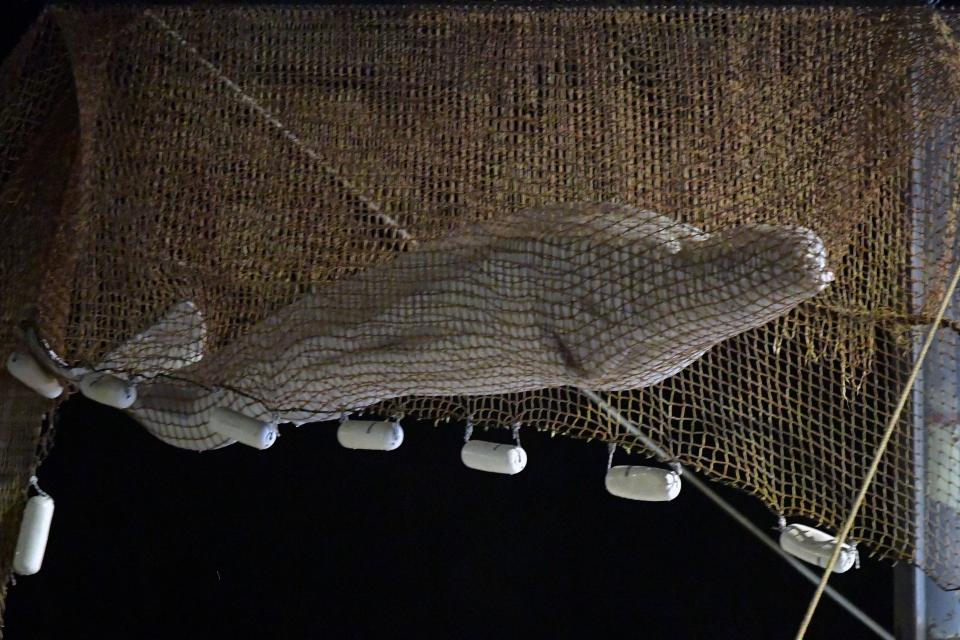 <p>Han sido varios días de angustia, pero finalmente la ballena beluga que estaba varada en el río Sena, a apenas 70 kilómetros de París, ha terminado muriendo. (Photo by JEAN-FRANCOIS MONIER/AFP via Getty Images)</p> 