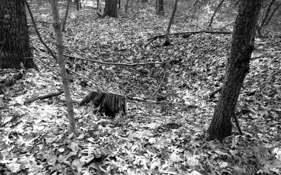 The burned cavity in the woods near Kecksburg, where the object crashed in 1965 - Ted van Pelt/CC