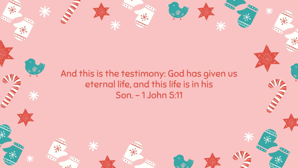 1 John 5:11