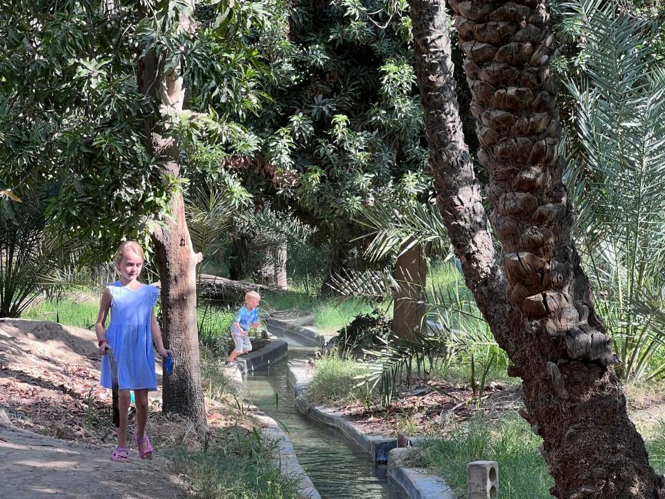 Die Kinder spielen in der Oase Al Ain, die ein altes Bewässerungssystem nutzt.  - Copyright: Courtesy of Karen Edwards