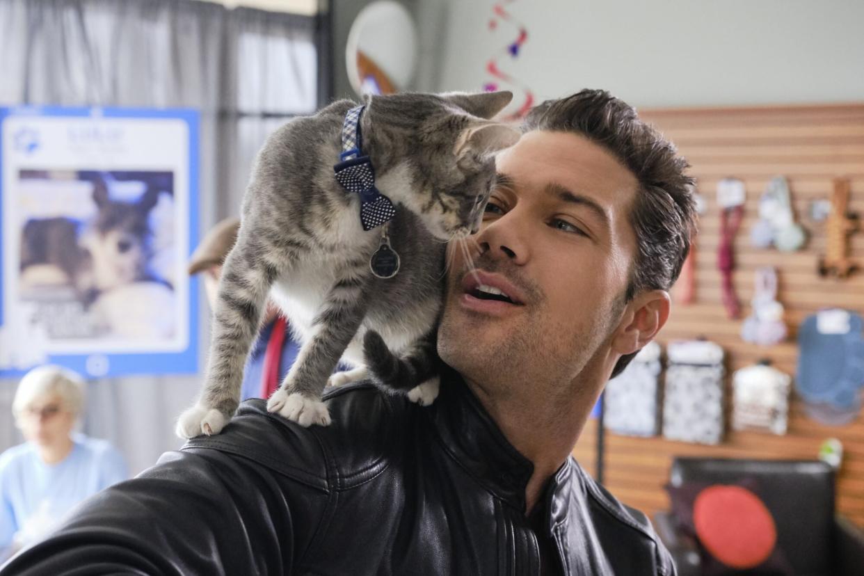 Ryan Paevey with cat