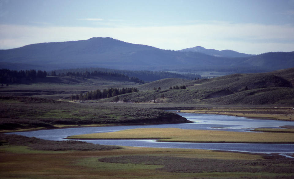 Hayden Valley - Yellowstone River & Washburn Range; J Schmidt