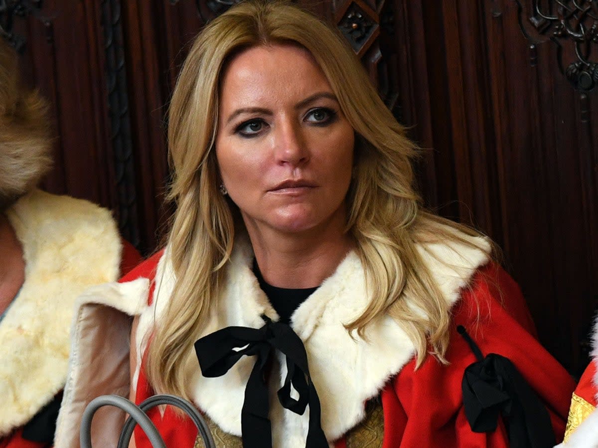 Tory peer Michelle Mone has taken leave of absence over controversy (PA)