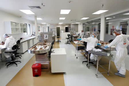 Forensic doctors examine the bones of an unidentified victim which is analyzed in the lab of the Attorney-General's office in Bogota, Colombia, May 5, 2017. REUTERS/Inaldo Perez