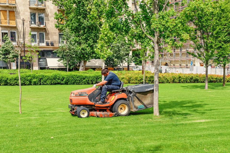 A worker uses a riding lawn mower to mow a lush, green lawn. 