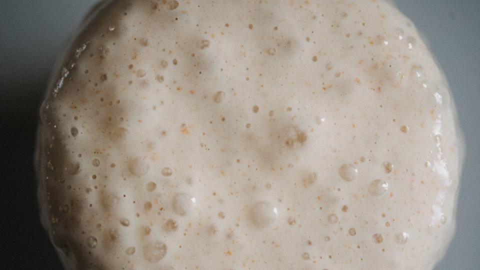 sourdough starter