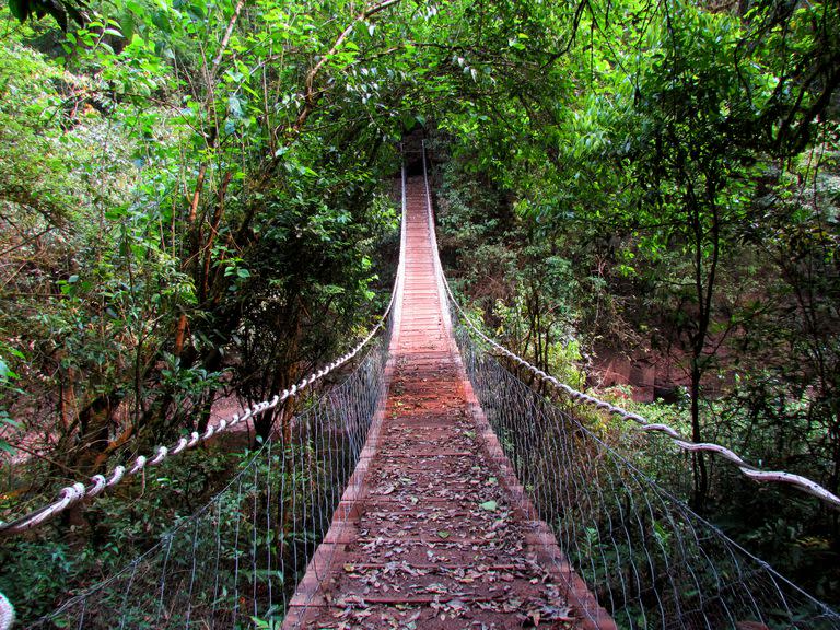 El Moconá Virgin Lodge ofrece recorridos por la selva, aventuras en tirolesa y paseos en kayak