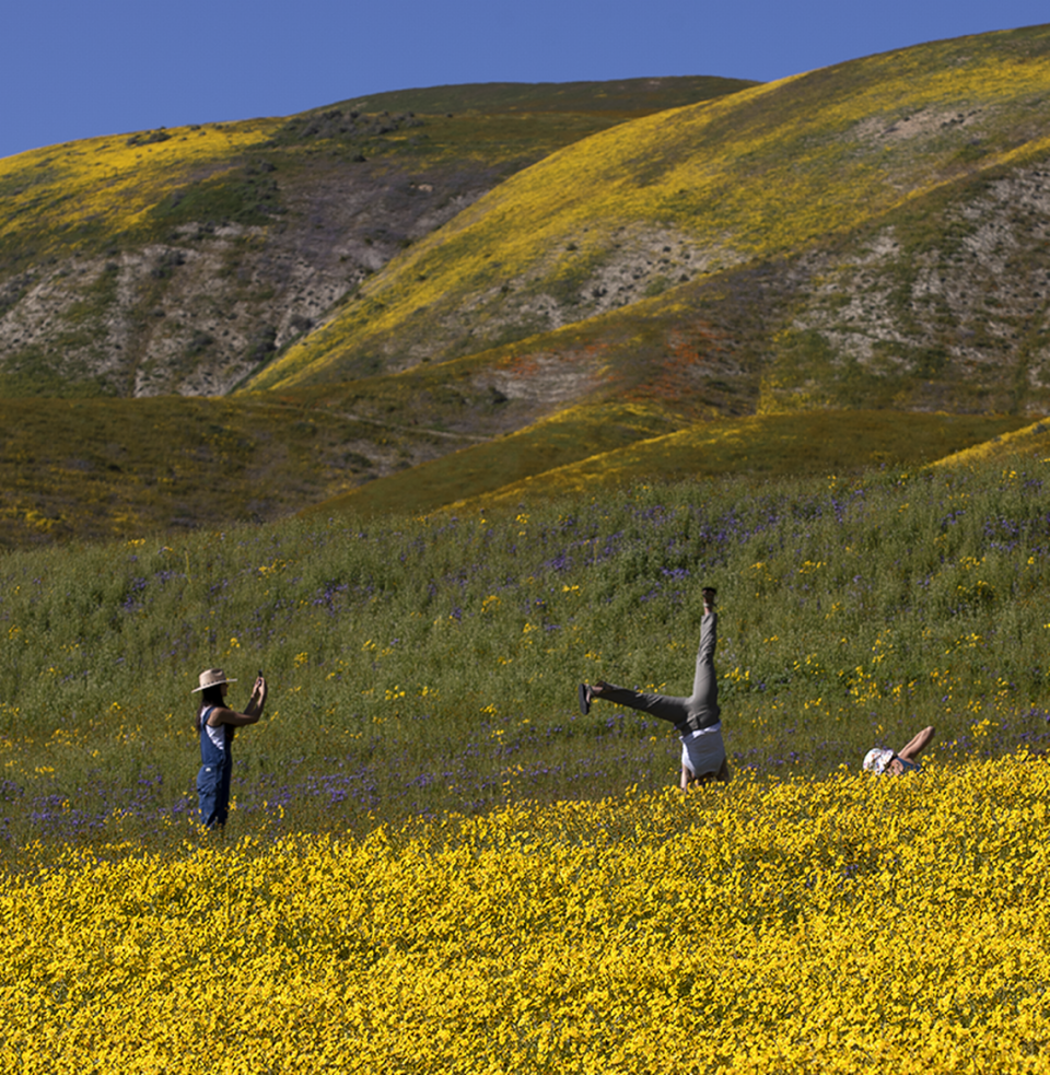 Women frolic among the wildflower fields in the hills along Highway 58 and 7-Mile Road on April 1, 2023. (The women were on a dirt trail behind the wildflowers).