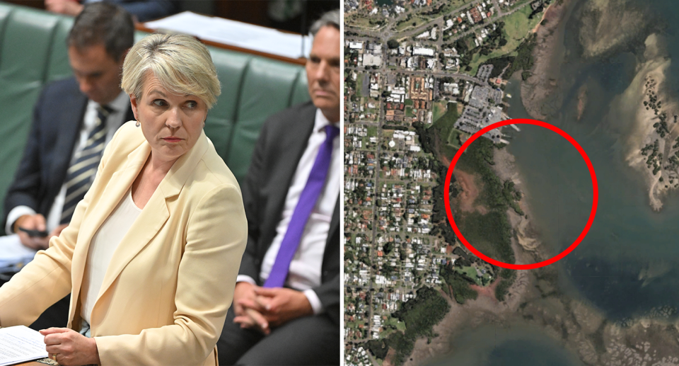 Left - Tanya Plibersek in Parliament. Right - a map of Toondah Harbour in Queensland.