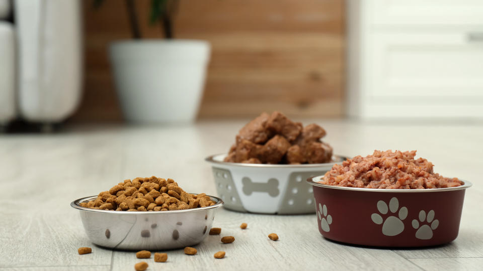 Different types of dog food