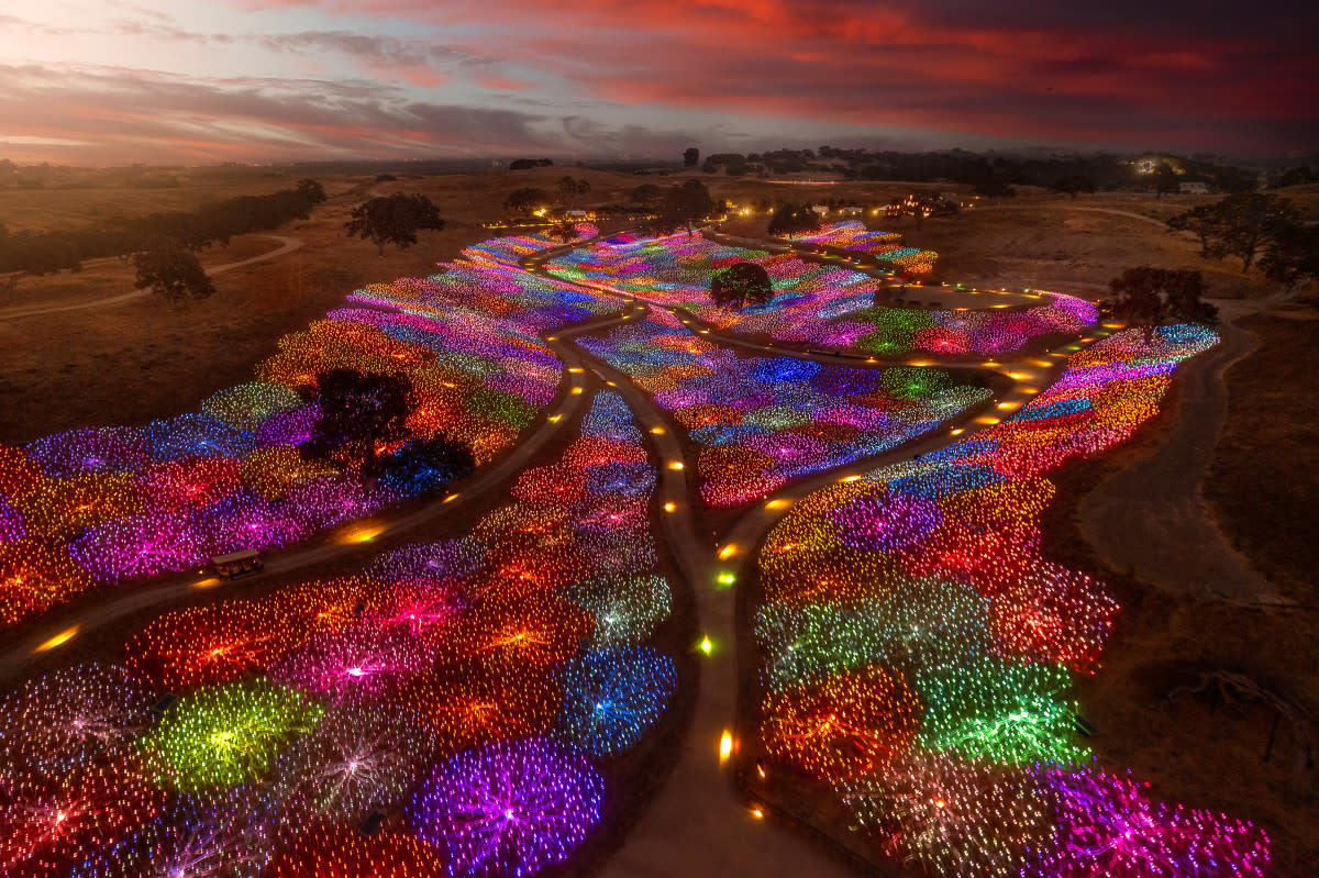 Sensorio's Field of Light<p>Courtesy of Sensorio</p>