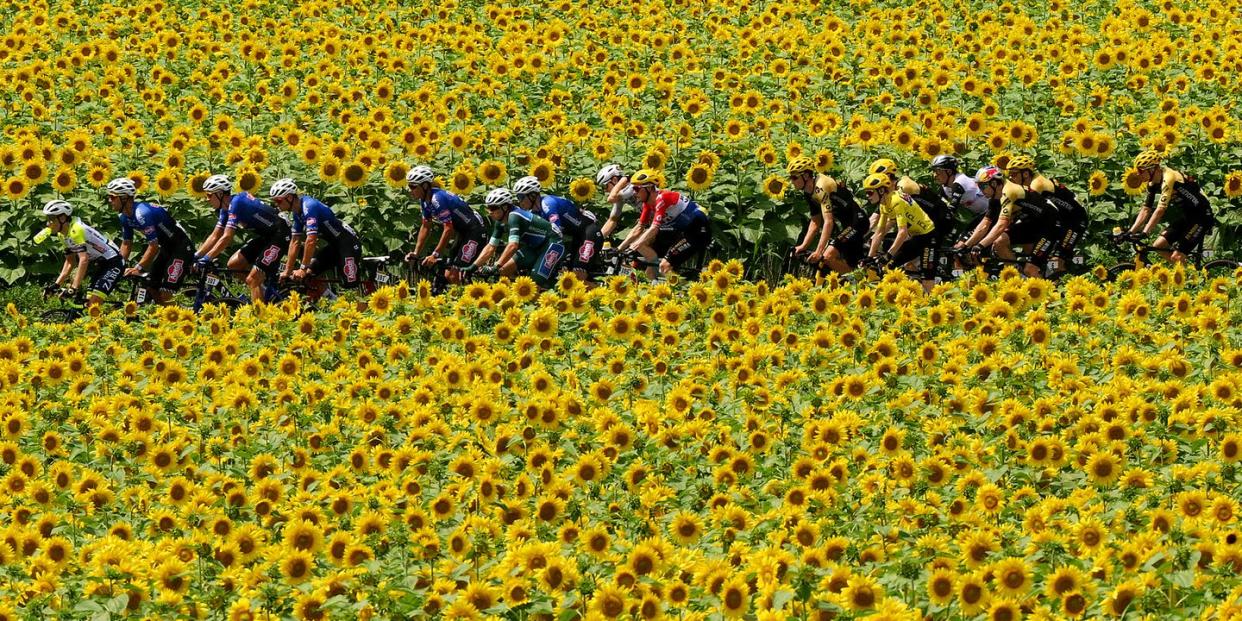 110th tour de france 2023 stage 8