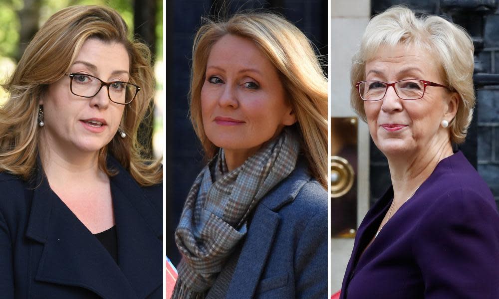 Mordaunt, McVey, Leadsom composite