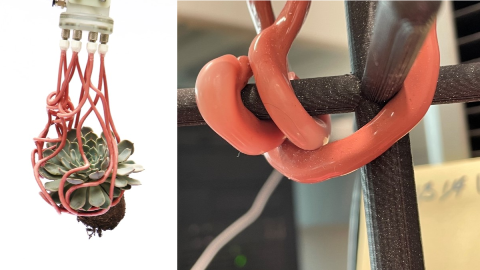 Close-up views of the pink tentacles attached to a robotic arm as they grip a succulent and a plastic stand