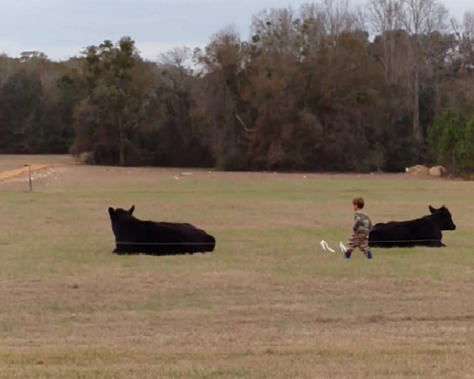 This kid tried to jump on a cow’s back, and shockingly, it did not go well