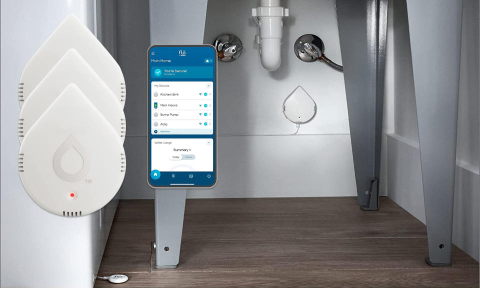 Moen smart water leak detector