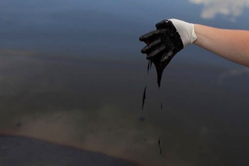 An employee with the governor's office collects oil off of Grand Isle, Louisiana, in 2010. BP returned to profit with a bang last year, posting net earnings of $23.9 billion on Tuesday, as the British energy giant prepared for a criminal trial over the US Gulf of Mexico oil spill disaster