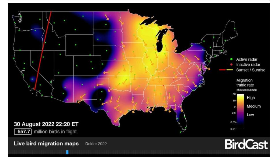 The BirdCast radar detected a peak of 557.7 million birds in migration over the U.S. at 9:20 p.m. Tuesday. The movement was aided by west and northwest winds.