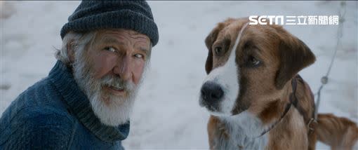 《極地守護犬》電影劇照。（圖／迪士尼提供）