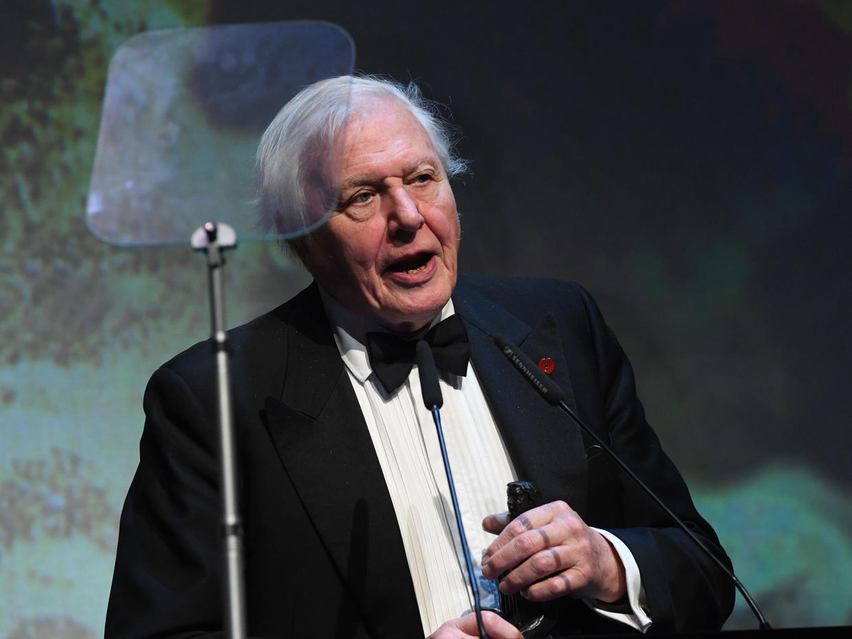 Sir David Attenborough will narrate a new series of the BBC wildlife hit ‘Blue Planet’ – even though he is now 90 years of age: PA