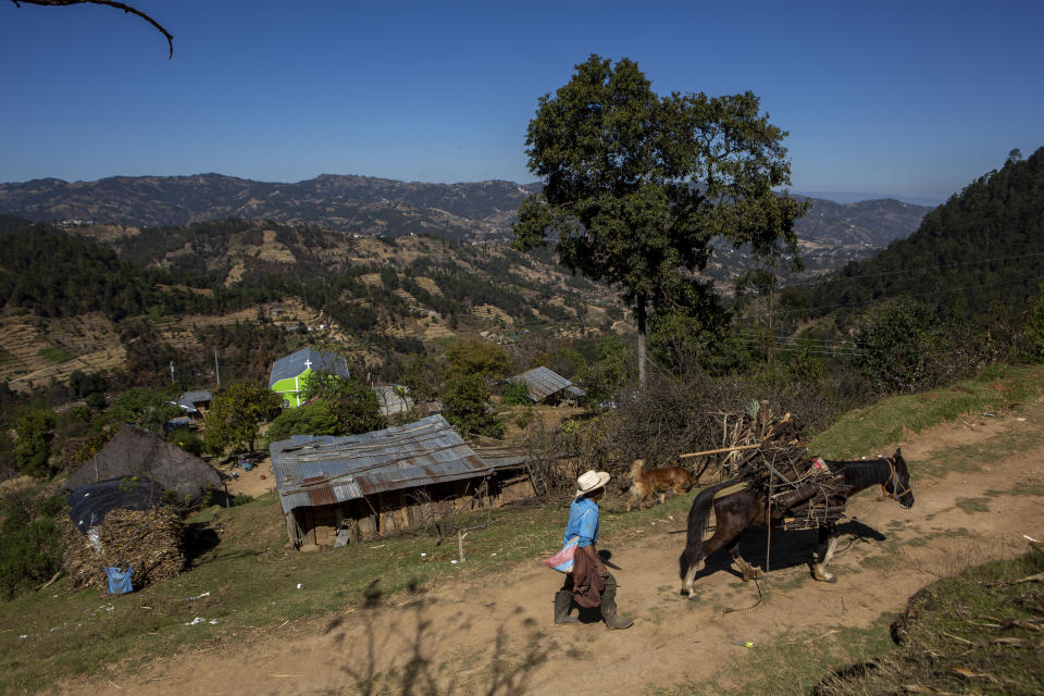 A neighbor walks with his horse hauling firewood along a dirt road in Comitancillo, Guatemala, Wednesday, Jan. 27, 2021. Relatives of Guatemalan migrants said they believe that 13 of the 19 charred corpses found in a northern Mexico border state on Saturday could be their loved ones. The country's Foreign Ministry said it was collecting DNA samples from a dozen relatives to see if there was a match with any of the bodies. (AP Photo/Oliver de Ros)