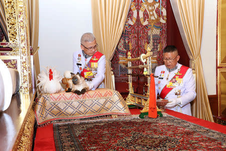 Royal officials place a chicken and a cat next to the bed of Thailand's King Maha Vajiralongkorn during the ceremony of Assumption of the Royal Residence inside the Grand Palace in Bangkok, Thailand, May 4, 2019. Picture taken May 4, 2019. The Committee on Public Relations of the Coronation of King Rama X via REUTERS