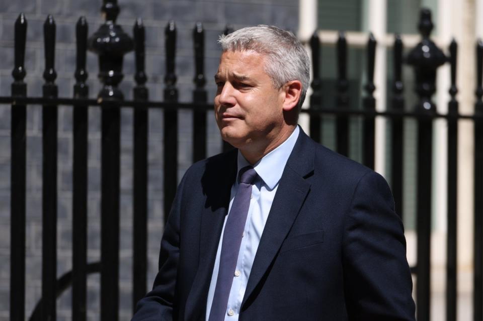 Steve Barclay (James Manning/PA) (PA Wire)