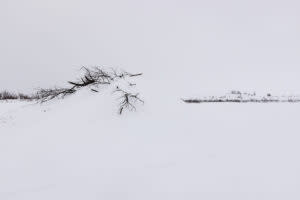 Snow covering a beaver lodge.