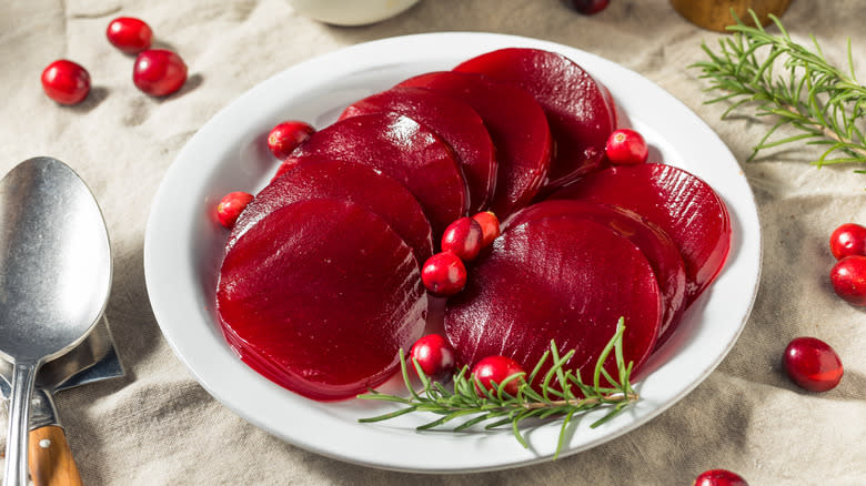 Canned cranberry sauce on plate