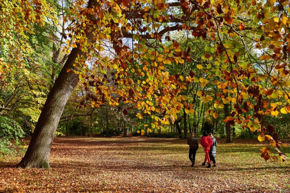 Der Tiergarten ist nicht nur der größte Park der Stadt, hier kann die Laufstrecke je nach Fitnesszustand beliebig verlängert werden. Bei schönem Wetter muss man sich die Wege aber mit zahlreichen Spaziergängern teilen.<span class="copyright">Imago Image/Snapshot</span>