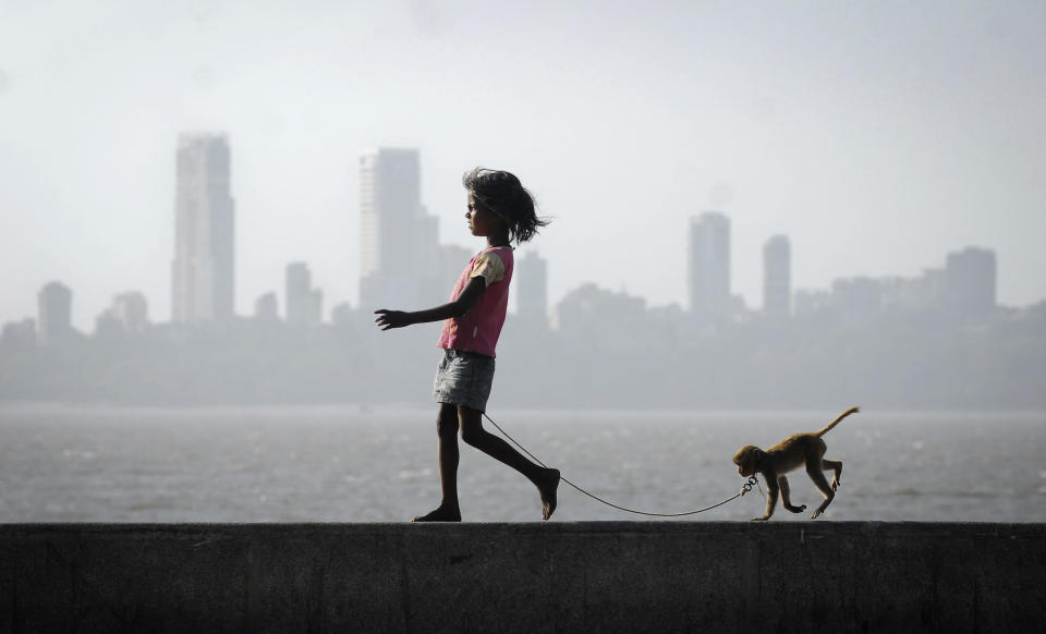 A girl walks with her pet monkey on a promenade along the Arabian Sea in Mumbai March 5, 2012. REUTERS/Stringer