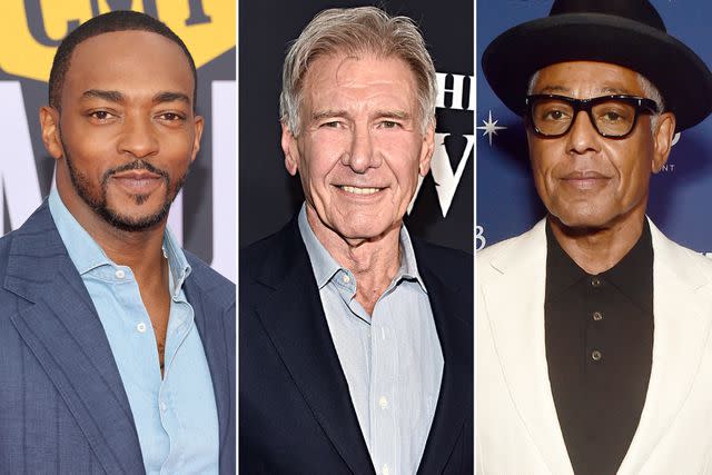 <p>Jason Kempin/Getty ; Alberto E. Rodriguez/Getty  ; Alberto E. Rodriguez/Getty</p> Anthony Mackie attends the 2022 CMT Music Awards at Nashville Municipal Auditorium on April 11, 2022 in Nashville, Tennessee. ; Harrison Ford arrives at the World Premiere of 20th Century Studios' "The Call of the Wild" on February 13, 2020 in Hollywood, California. ; Giancarlo Esposito attends D23 Expo 2022 on September 10, 2022.