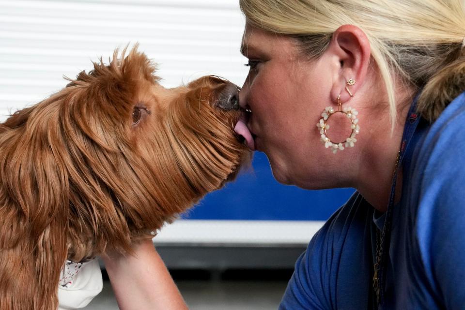 Renee Jent and her dog, Sterling, on Tuesday, June 18, 2024, at Lucas Oil Stadium in Indianapolis.