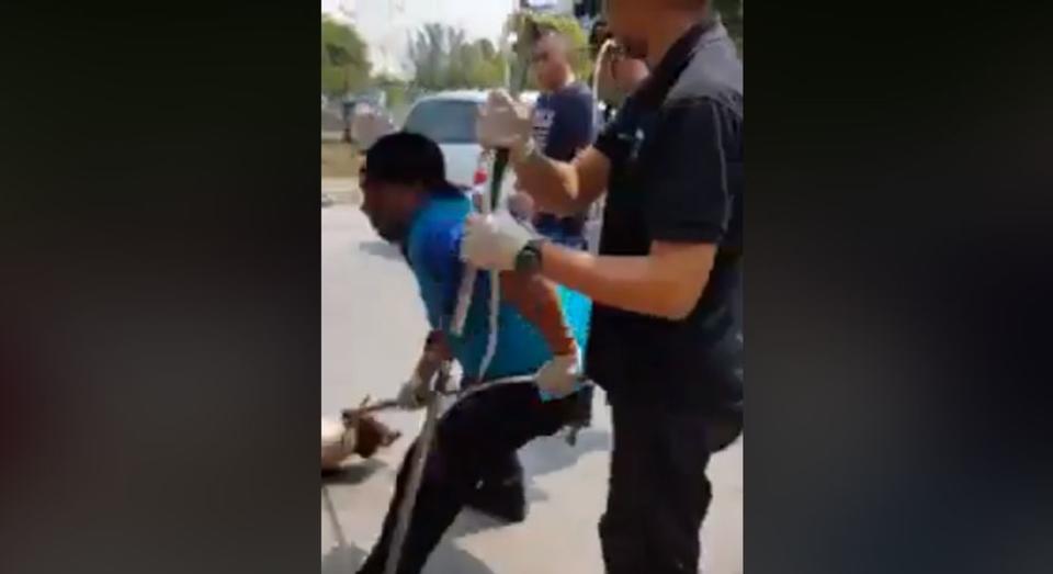 A screenshot of the MPSJ official flinging the dog into the van by its neck. — Screengrab via Facebook/We Are Malaysian