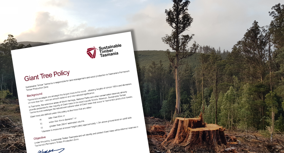 Background - a logging coup in Tasmania with a felled tree in the foreground. Inset - the document showing the policy change.