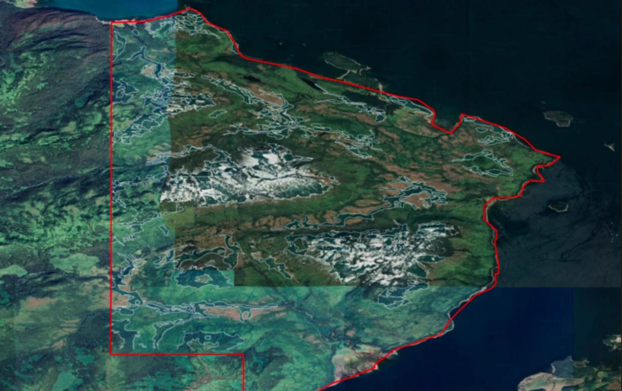 <span>Carbon ratings agency Renoster found that the Sealaska project in south-eastern Alaska ‘manipulated’ its boundaries in order to receive more credits. The darker green areas in the image show the remaining trees that had not been logged.</span><span>Photograph: Renoster from Google Earth</span>