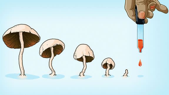 Https%3a%2f%2fblueprint-api-production.s3.amazonaws.com%2fuploads%2fcard%2fimage%2f305890%2fmushrooms