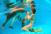 Einmal mit Delfinen schwimmen – diesen Traum hegen durchaus einige Menschen. Eine wunderbare Vorstellung, wie auch dieses Bild hier zeigt. (Bild-Copyright: Thinkstock)