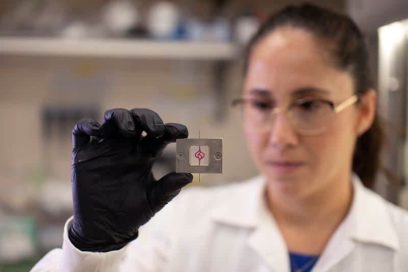 FILE PHOTO: Cancer patients' own cells used in 3D printed tumours to test treatments