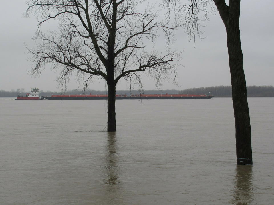A barge cruises past a low-lying park flooded by the swollen Mississippi River on Friday, Feb. 22, 2019 in Memphis, Tenn. Located on Memphis' Mud Island, Greenbelt Park (pictured) floods when the Mississippi River reaches high levels. (AP Photo/Adrian Sainz).
