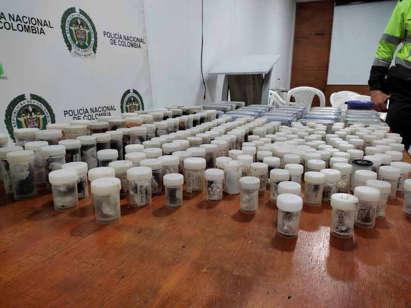 Plastic jars containing cockroaches, tarantulas, and scorpions are photographed after a seizure of animals for trafficking bound for Germany at El Dorado airport, in Bogota