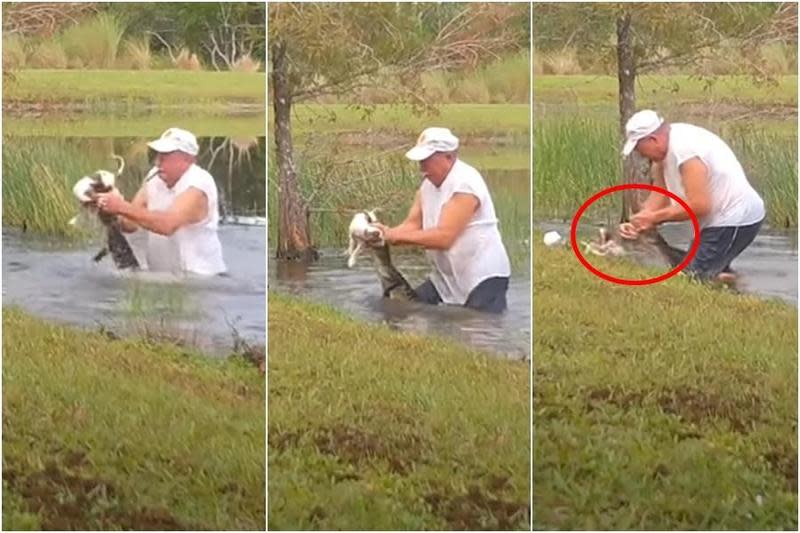 美國一名74歲老翁為了救愛犬，跳入湖中和鱷魚搏鬥，過程中全程咬住雪茄。★《鏡週刊》關心您：抽菸有害身心健康。（翻攝自Florida Wildlife Federation）