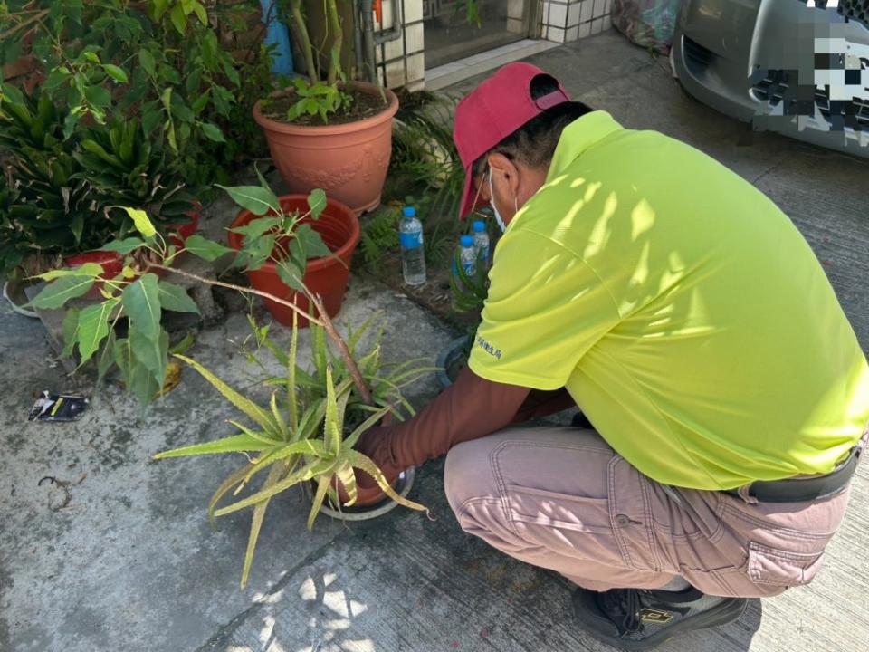 高雄市再出現台南本土登革熱確診者足跡，環保局前往路竹區病媒孳生源巡查，仍查獲家戶防火巷、畸零地有水桶及破損容器積水孳生大量病媒。（記者王正平攝）