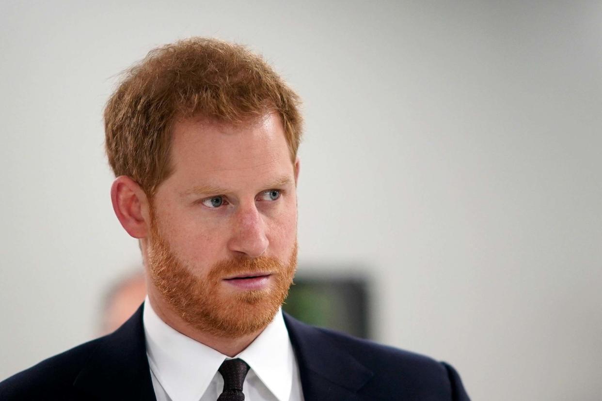 <p>Prince Harry is getting “regular updates” on the BBC inquiry into the Panorama interview with his mother</p> (PA)