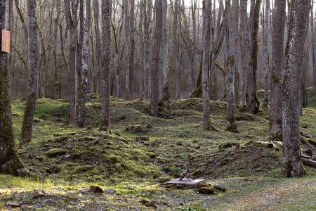 Craters from shelling during WWI are seen in the village of Bezonvaux, near Verdun, northeastern France, in this March 29, 2014 file picture. REUTERS/Charles Platiau/Files