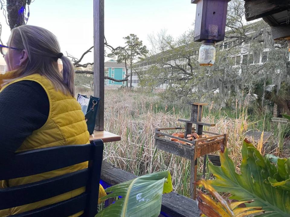 Diners sit outside on the Raccoon Cove Deck Bar at Joe’s Bar and Grill in North Myrtle Beach. Diners are treated to a show as raccoons come to eat bread and leftovers offered by customers. March 29, 2024