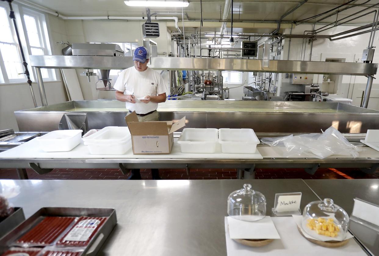 Jon Metzig concentrates on his work May 23 at Union Star Cheese Factory in Zittau. He estimates he's worked at his parents' cheese factories since he was six years old, but officially became an employee 13 years ago and, later, became part-owner. After his parents' death in March, he became the sole owner.