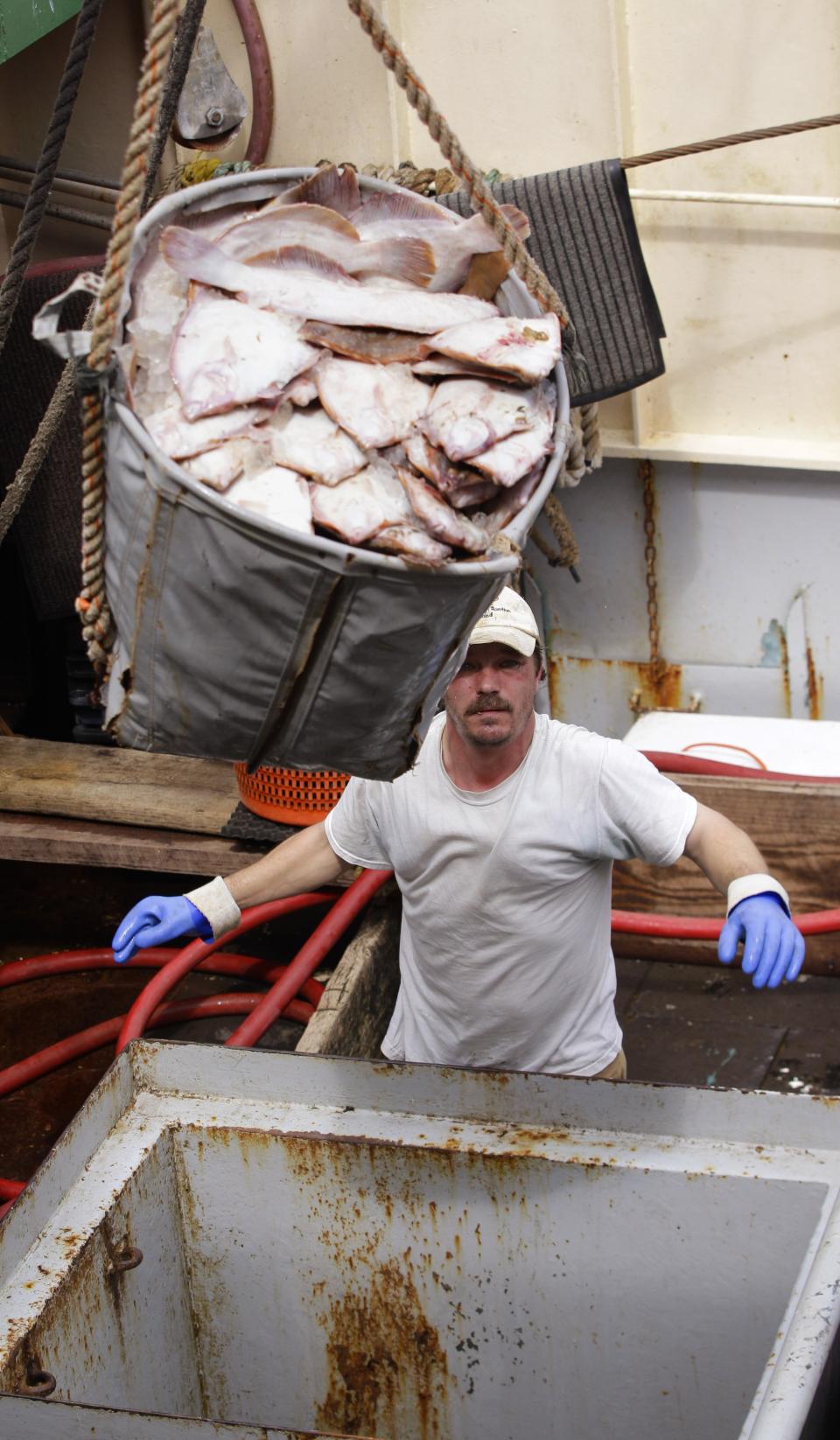 FILE - This May 14, 2012 file photograph shows crewman Jeremy Prior offloading flounder from a fishing boat in New Bedford, Mass., Monday, May 14, 2012. The U.S. seafood catch reached a 17-year high in 2011, with all fishing regions of the country showing increases in both the volume and value of their harvests. New Bedford, Mass., had the highest-valued catch for the 12th straight year, due largely to its scallop fishery. (AP Photo/Stephan Savoia)