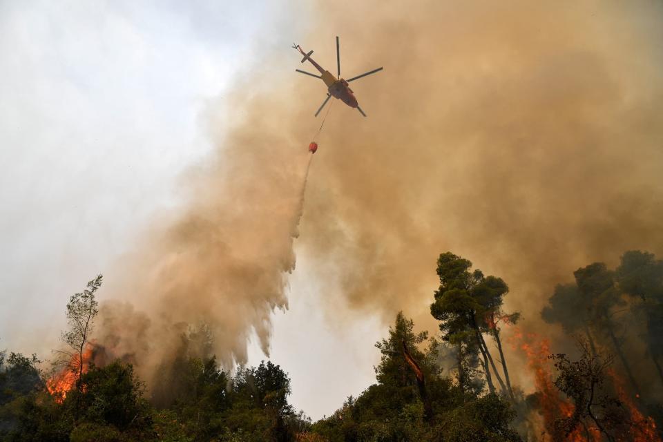 Un feu de forêt à Kechriés en Grèce, le 5 août 2021 - LOUISA GOULIAMAKI / AFP